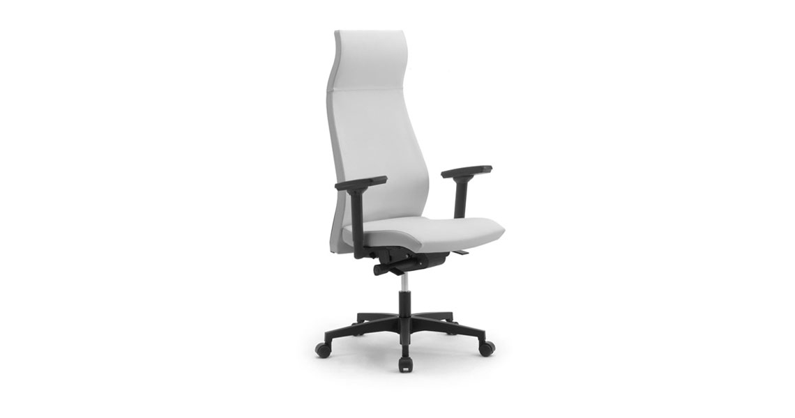 Ergonomischer Bürostuhl mit Armlehnen - Leyform