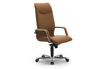 leder executive burostuhl Ergolinea
